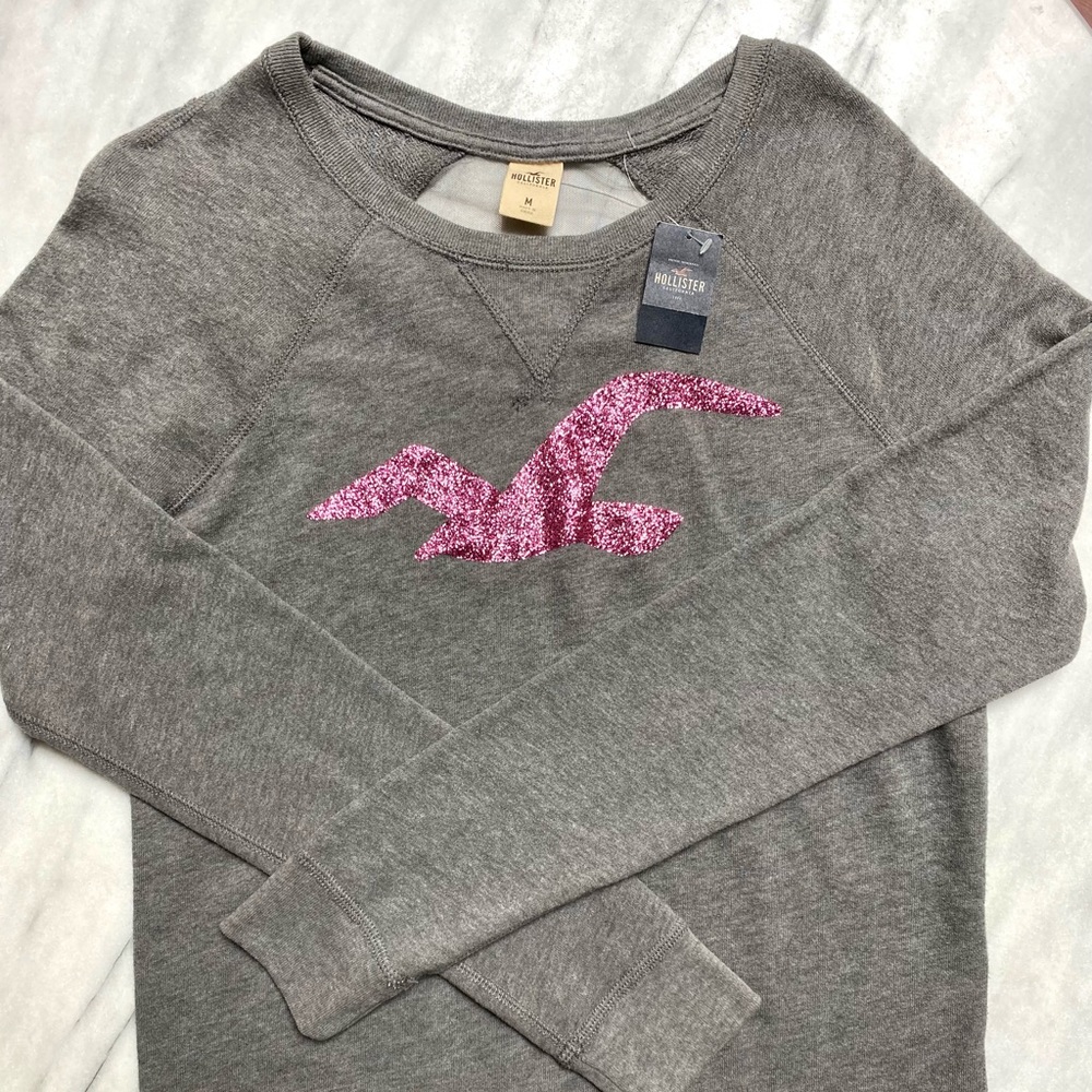 Hollister NWT grey/sparkle pink Size M sweatshirt - sheer back!